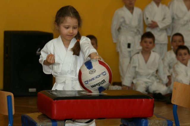 II Turniej Karate: Szkoła jak Dom 2008