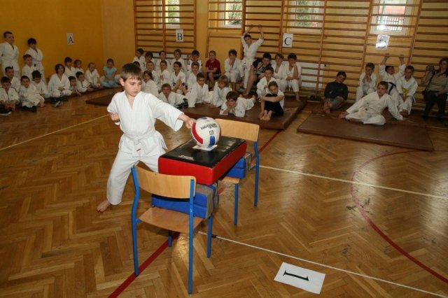 II Turniej Karate: Szkoła jak Dom 2008