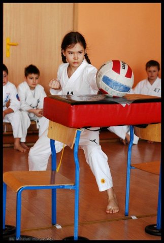 IV Turniej Karate: Szkoła jak Dom 2010