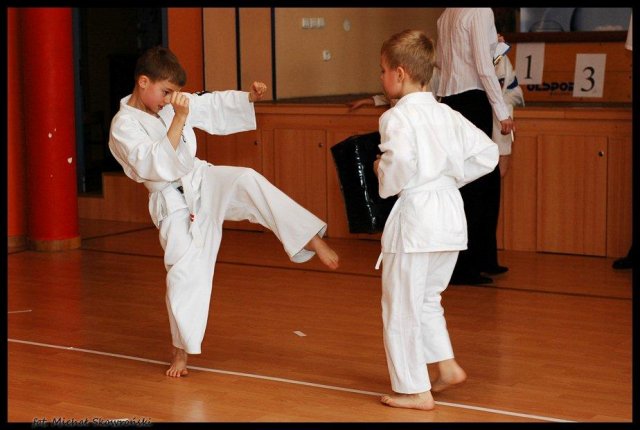 IV Turniej Karate: Szkoła jak Dom 2010