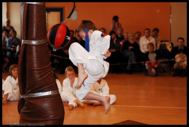 IV Turniej Karate: Szkoła jak Dom 2010