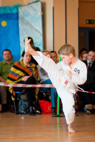V Turniej Karate: Szkoła jak Dom 2011
