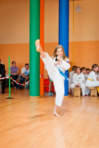 V Turniej Karate: Szkoła jak Dom 2011