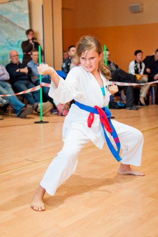 V Turniej Karate: Szkoła jak Dom 2011
